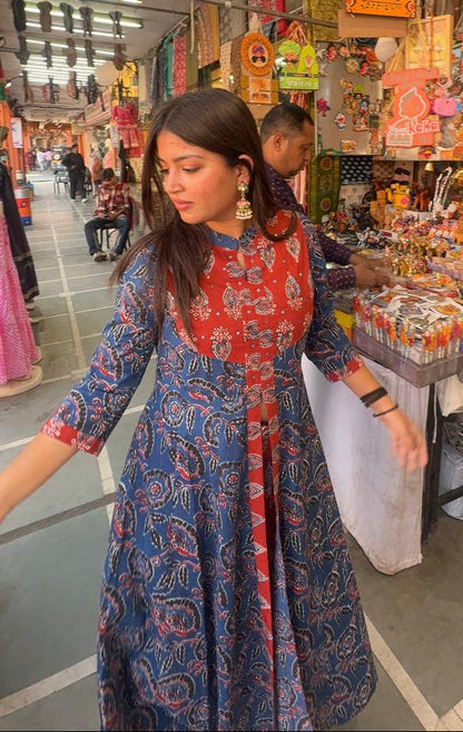 Rangrez Indigo Panel Anarkali Set