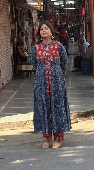 Rangrez Indigo Panel Anarkali Set