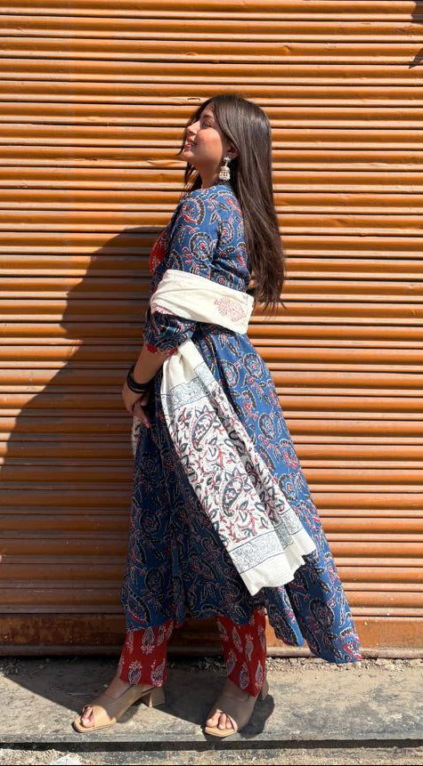 Rangrez Indigo Panel Anarkali Set